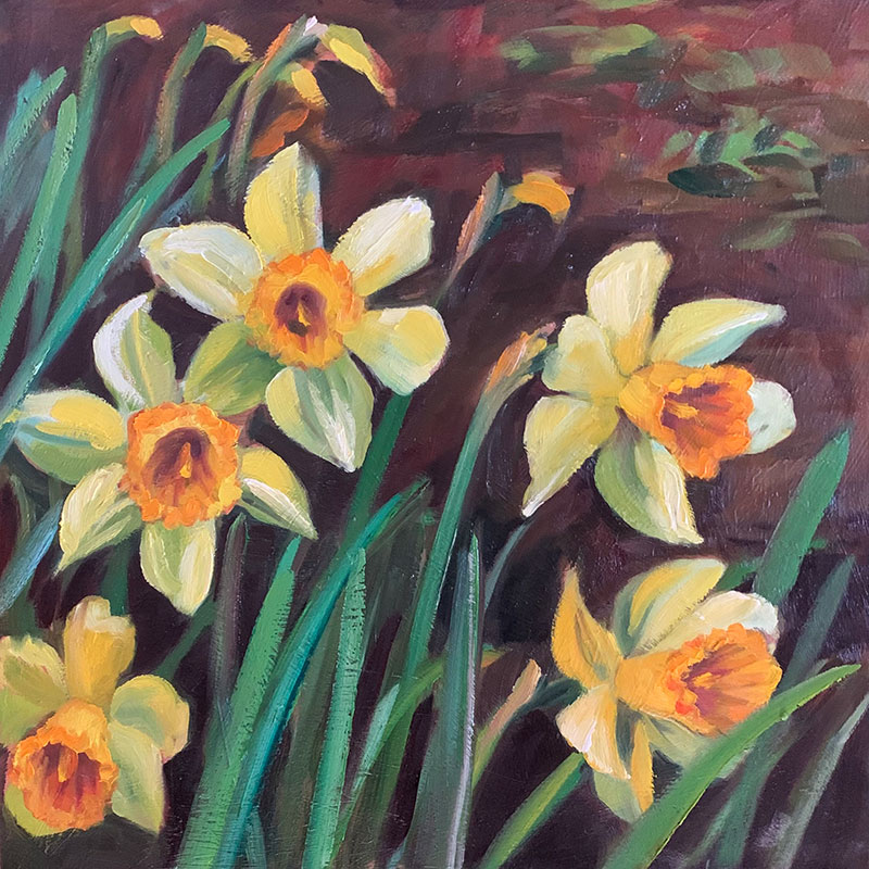 Daffodil Family 16x16” o/c $475